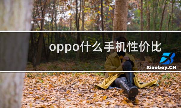 oppo什么手机性价比高
