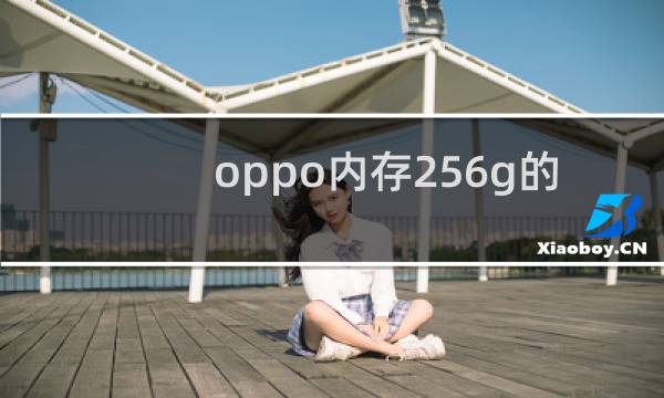 oppo内存256g的手机有哪些