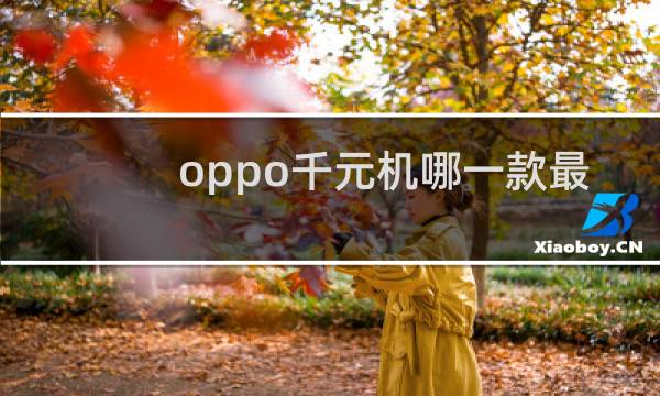 oppo千元机哪一款最好