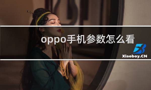 oppo手机参数怎么看