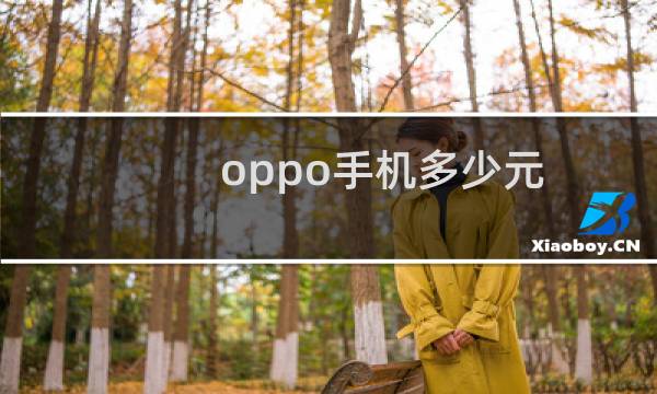 oppo手机多少元