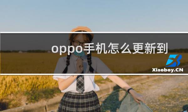 oppo手机怎么更新到最新版本