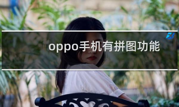 oppo手机有拼图功能吗