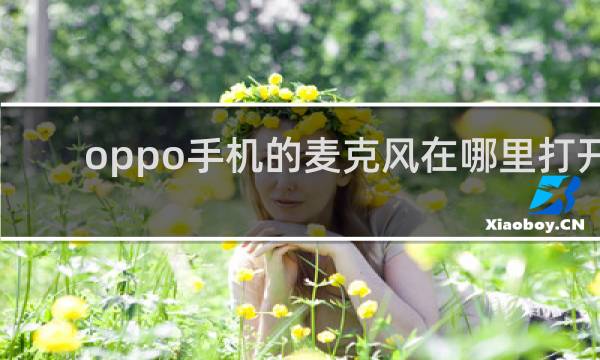 oppo手机的麦克风在哪里打开