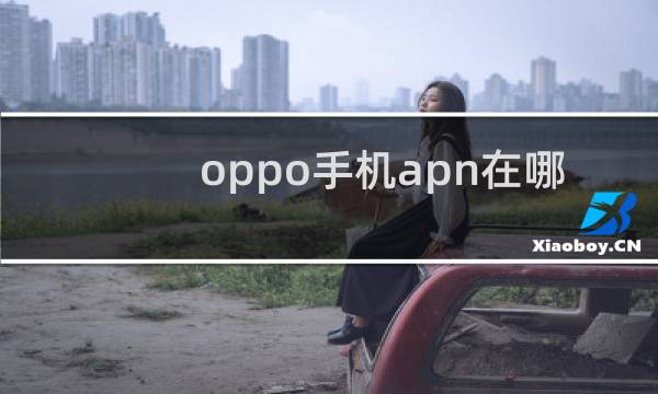 oppo手机apn在哪里