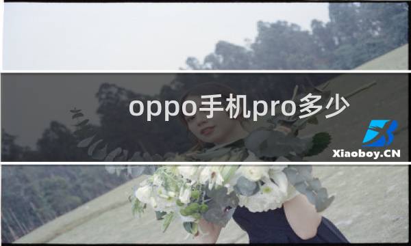 oppo手机pro多少钱