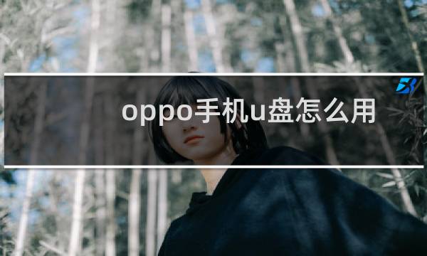oppo手机u盘怎么用