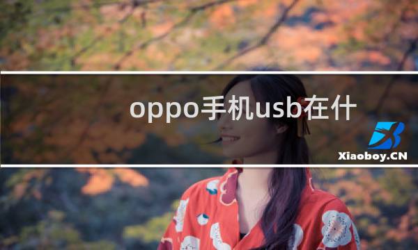 oppo手机usb在什么地方