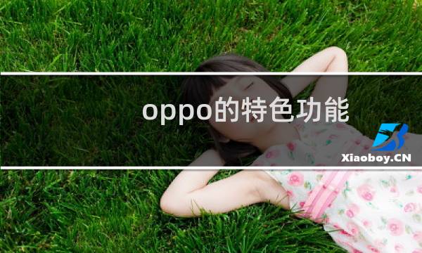 oppo的特色功能
