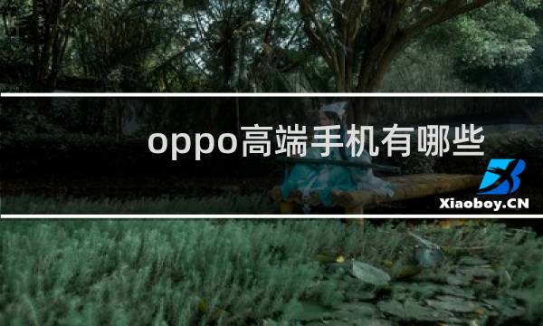 oppo高端手机有哪些