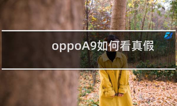 oppoA9如何看真假