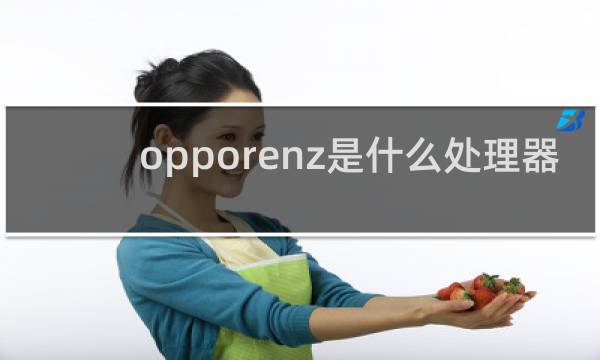 opporenz是什么处理器