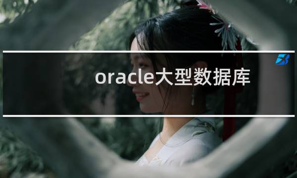 oracle大型数据库