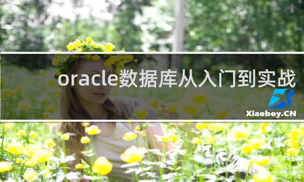 oracle数据库从入门到实战
