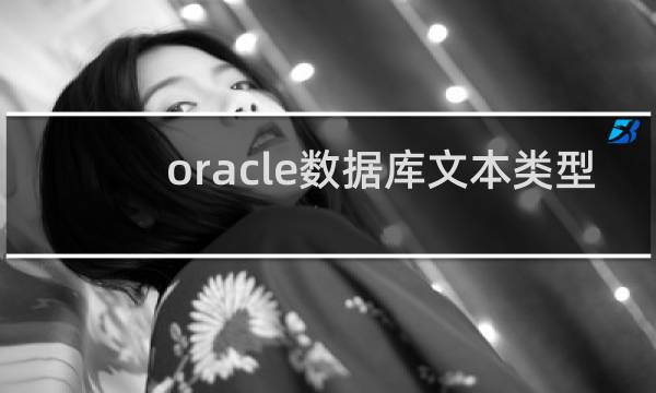 oracle数据库文本类型