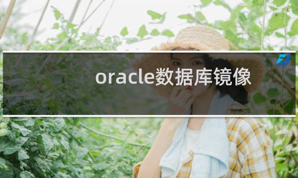 oracle数据库镜像