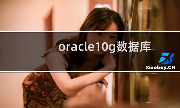 oracle10g数据库