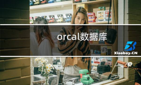 orcal数据库
