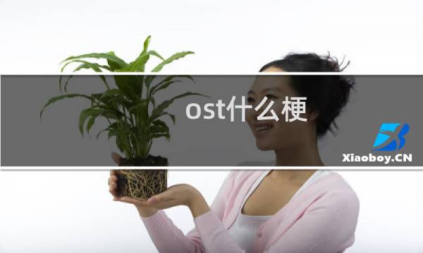 ost什么梗