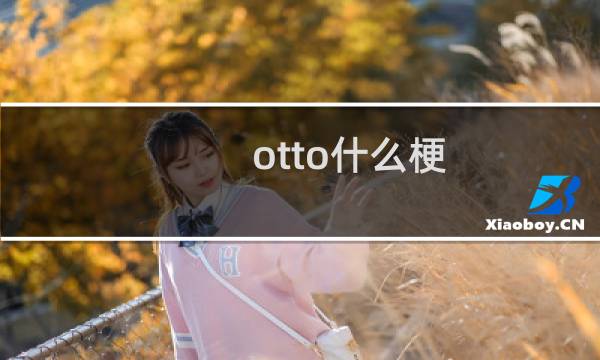 otto什么梗