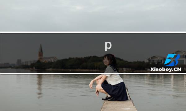 p a攻略