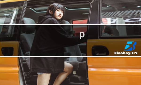 p d攻略