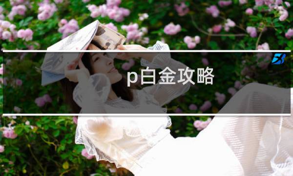 p白金攻略
