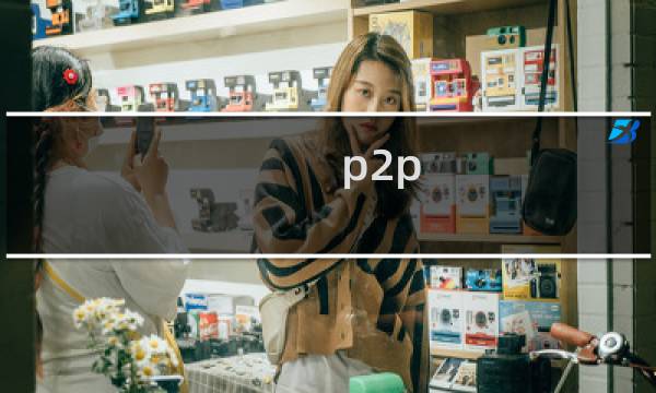 p2p 和b2b模式