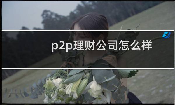 p2p理财公司怎么样