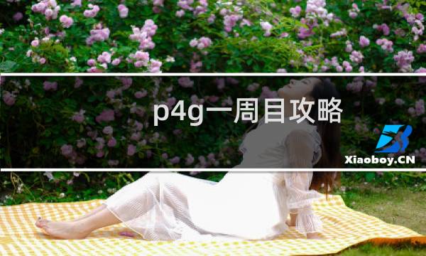 p4g一周目攻略