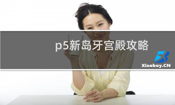 p5新岛牙宫殿攻略