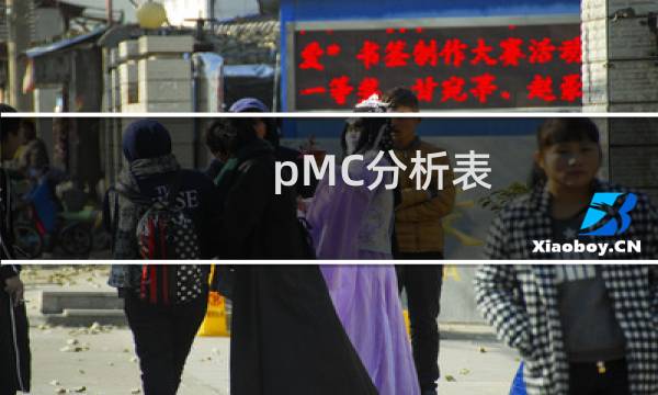 pMC分析表