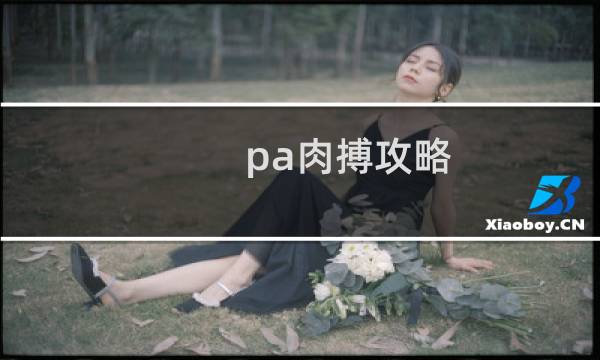 pa肉搏攻略