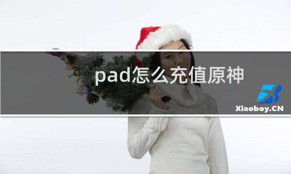 pad怎么充值原神