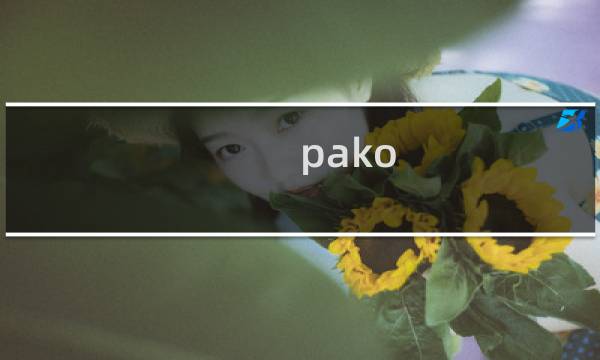 pako 2攻略