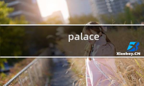 palace图片