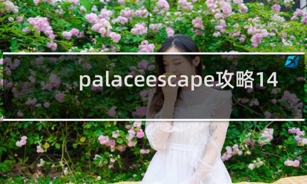 palaceescape攻略14
