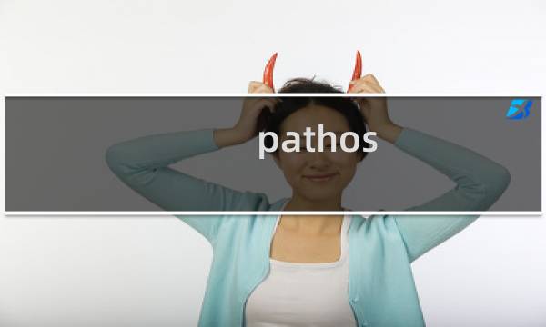 pathos 初始攻略