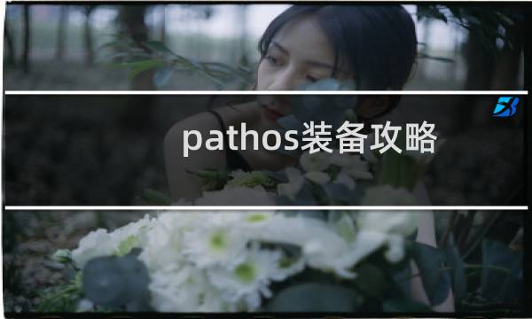 pathos装备攻略