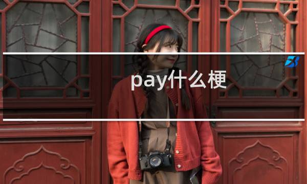 pay什么梗