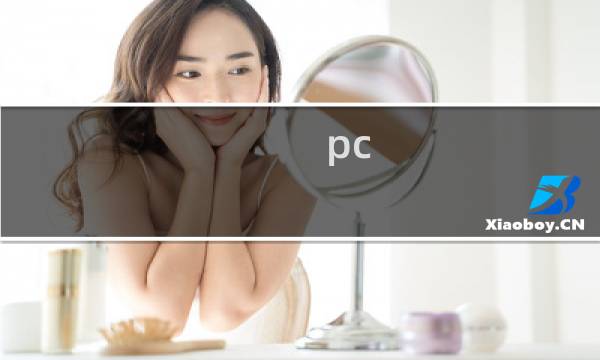 pc 射雕攻略