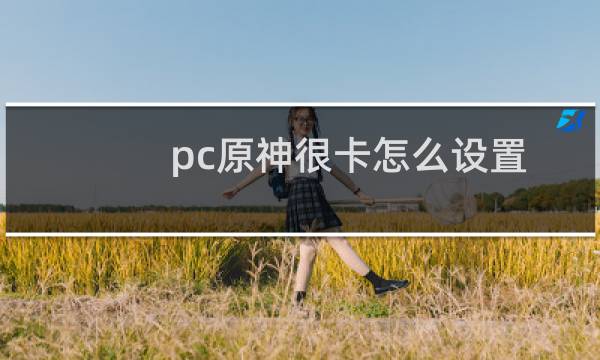 pc原神很卡怎么设置