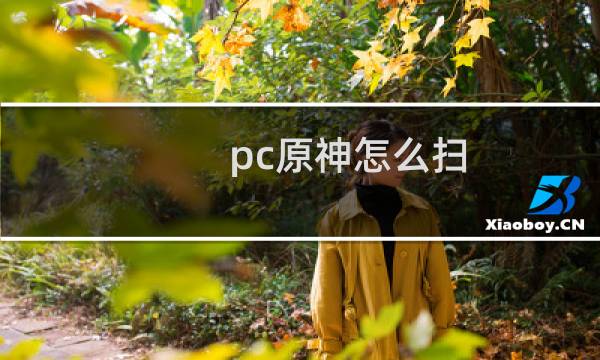 pc原神怎么扫