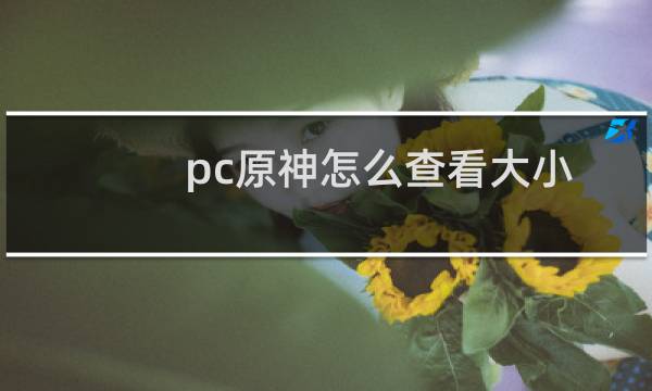 pc原神怎么查看大小