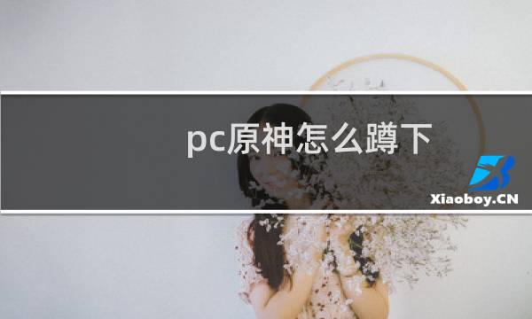 pc原神怎么蹲下