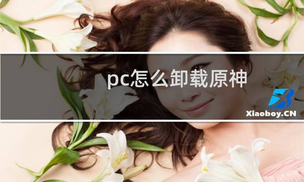 pc怎么卸载原神