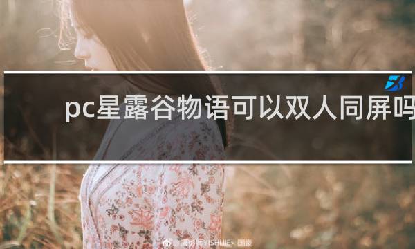 pc星露谷物语可以双人同屏吗