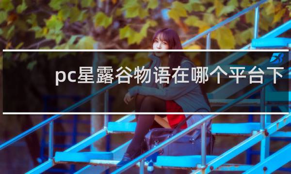pc星露谷物语在哪个平台下