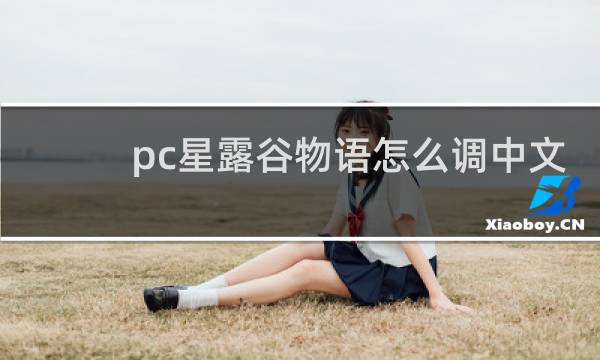 pc星露谷物语怎么调中文