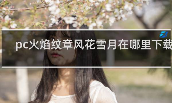 pc火焰纹章风花雪月在哪里下载啊